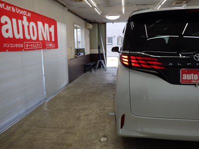 2025 Toyota ALPHARD 缩略图 66