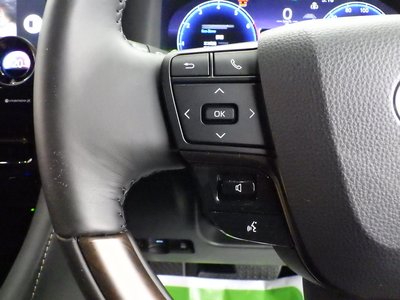 2025 Toyota ALPHARD 缩略图 56