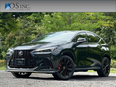 LEXUS NX - 1