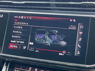 2024 AUDI Q8 thumbnail 22