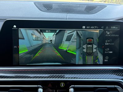 2022 BMW X6 缩略图 19