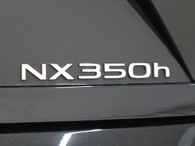 2025 Lexus NX — миниатюра 24