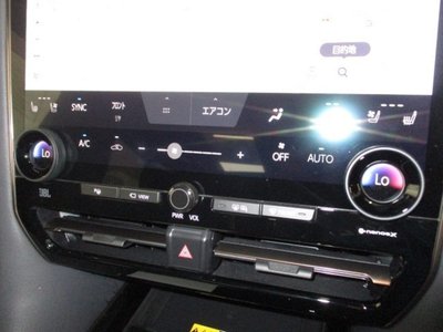 2025 TOYOTA ALPHARD thumbnail 29