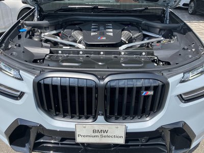 2025 BMW X7 缩略图 14