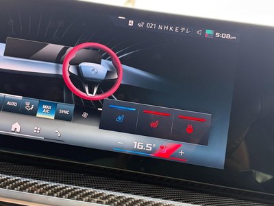 2025 BMW X7 缩略图 47