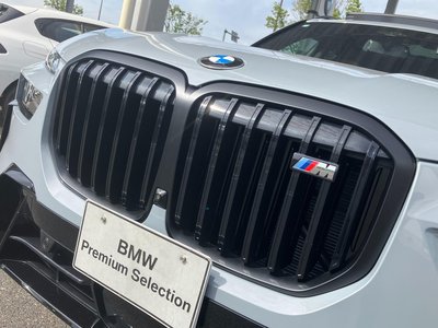 2025 BMW X7 缩略图 12