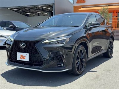 LEXUS NX - 10
