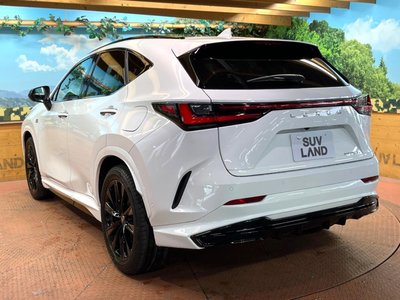 صورة مصغرة 64 لـ 2024 Lexus NX