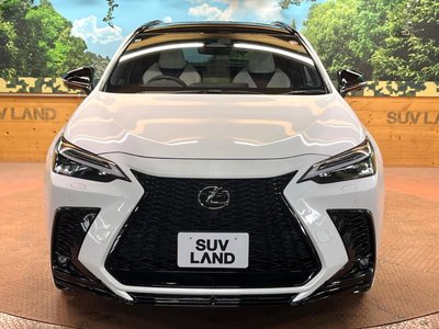 صورة مصغرة 16 لـ 2024 Lexus NX