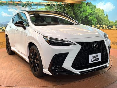 صورة مصغرة 60 لـ 2024 Lexus NX