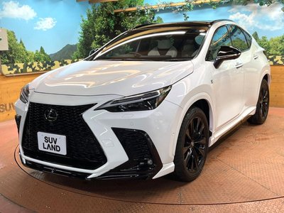 صورة مصغرة 59 لـ 2024 Lexus NX