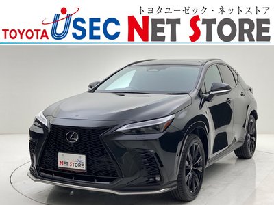 LEXUS NX - 1