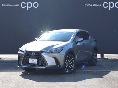LEXUS NX - 1