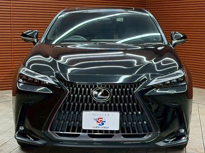 صورة مصغرة 30 لـ 2023 Lexus NX