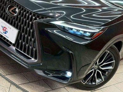 LEXUS NX - 10
