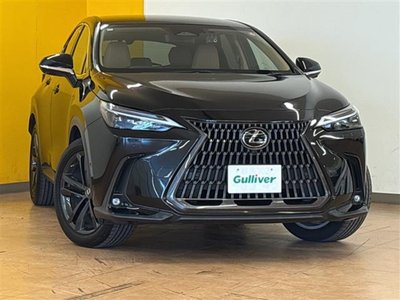 2022 Lexus NX — фото 2