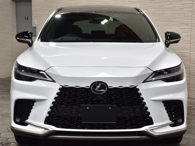 LEXUS RX - 2
