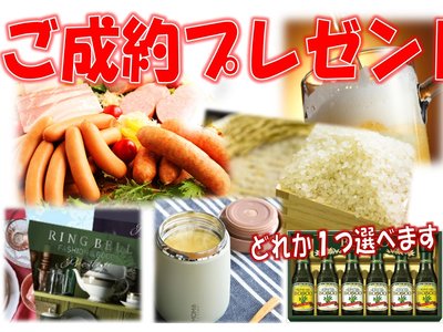 TOYOTA LAND CRUISER 300 - 7