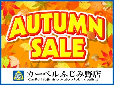 TOYOTA LAND CRUISER 300 - 4