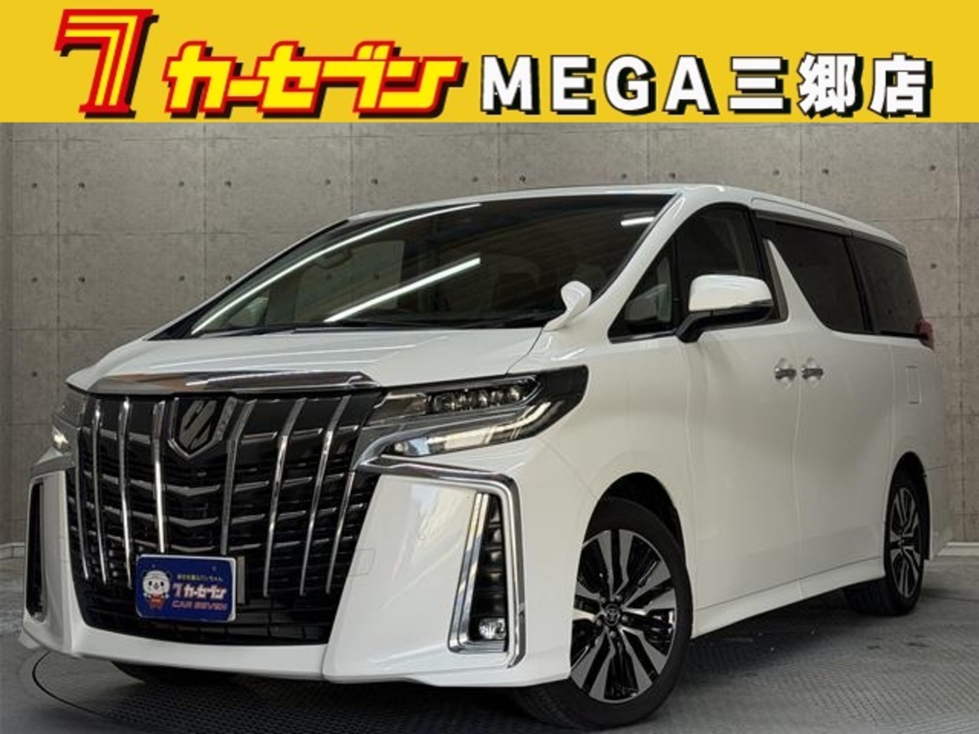 TOYOTA ALPHARD - View 1