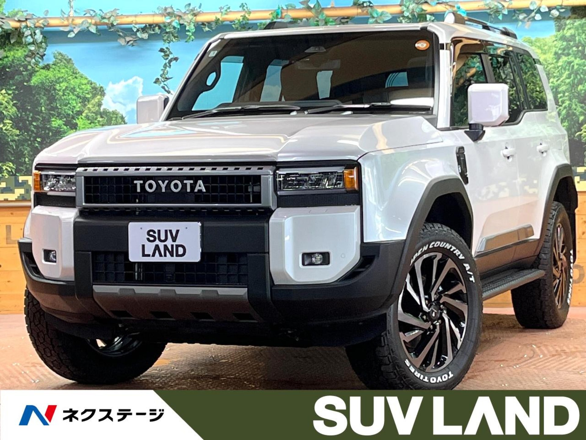 TOYOTA LAND CRUISER 250 - View 1