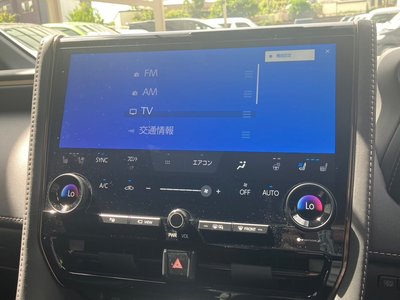 TOYOTA ALPHARD - 10