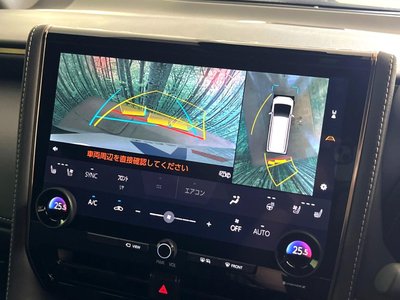 2024 Toyota ALPHARD 照片 6