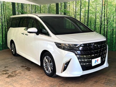 2024 Toyota ALPHARD 缩略图 19