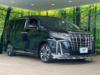 2022 Toyota ALPHARD 缩略图 18