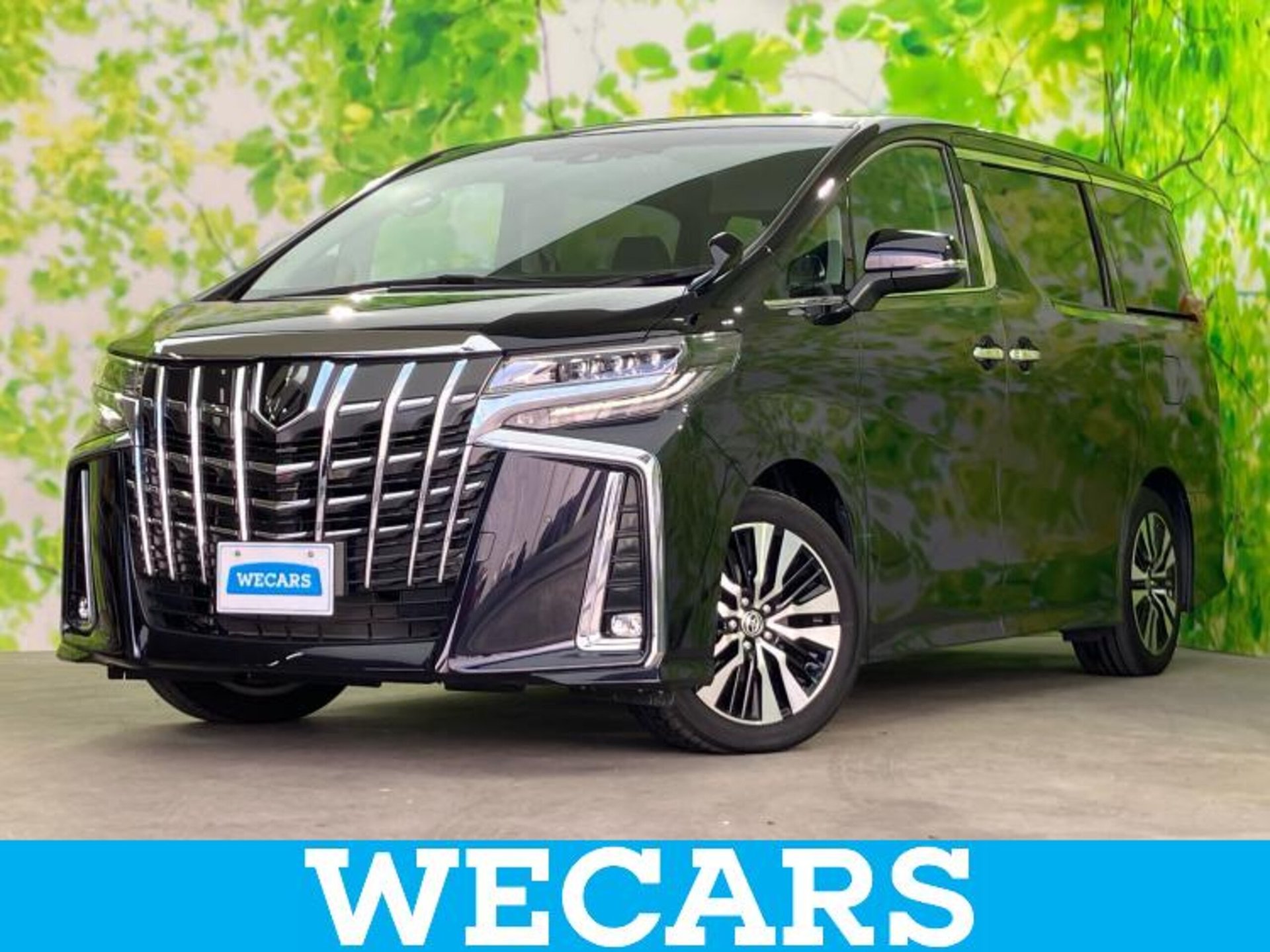 TOYOTA ALPHARD - View 1