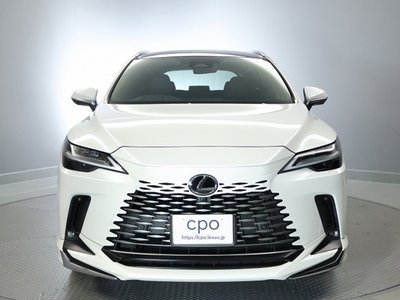 2024 Lexus RX 照片 2
