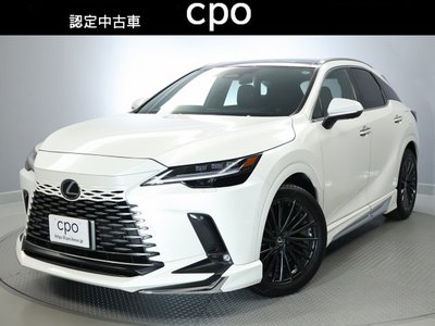 2024 Lexus RX 照片 1