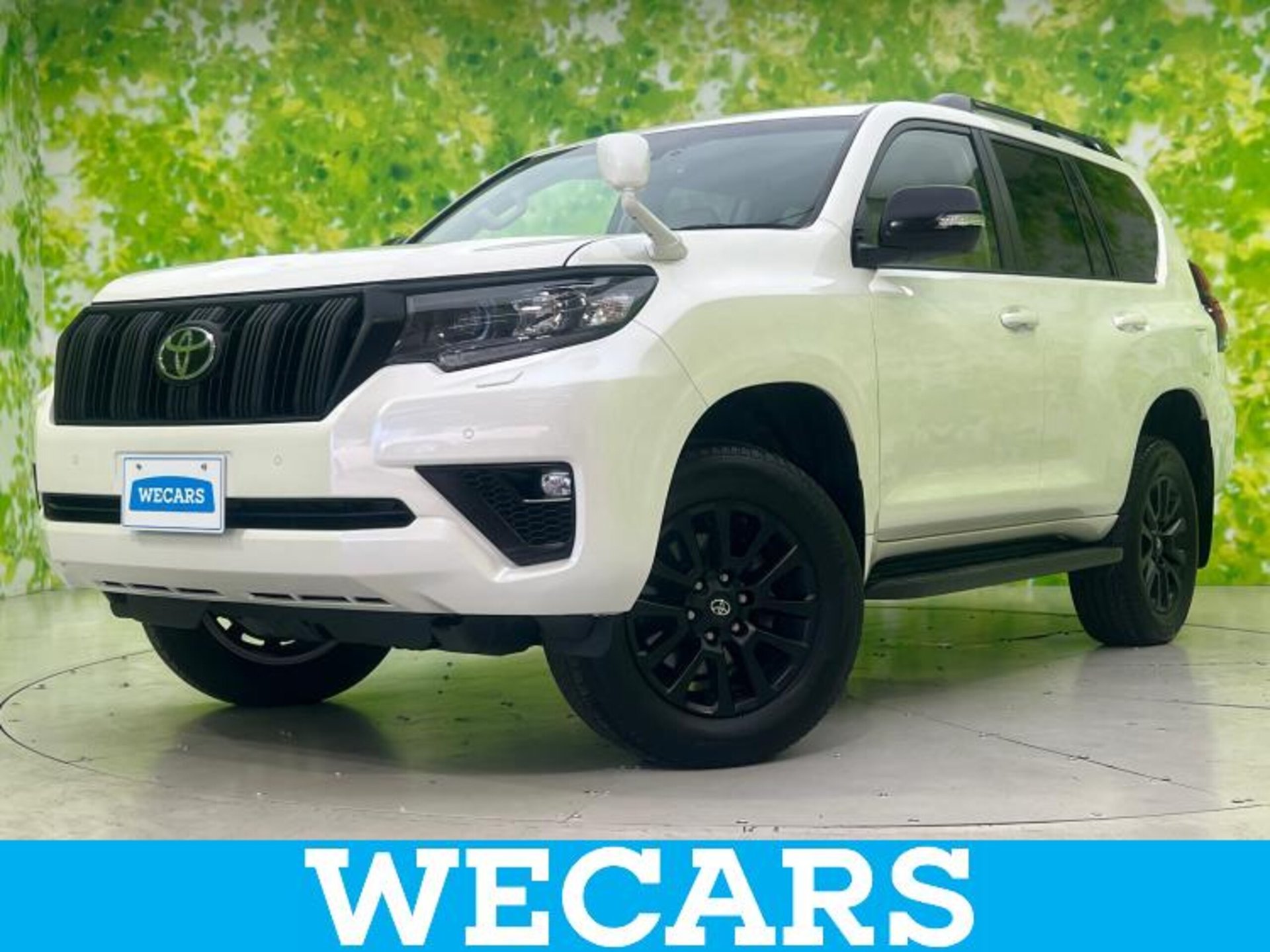 TOYOTA LAND CRUISER PRADO - View 1