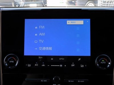 2025 TOYOTA ALPHARD 缩略图 30