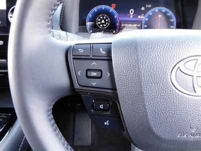 2025 TOYOTA ALPHARD 缩略图 24