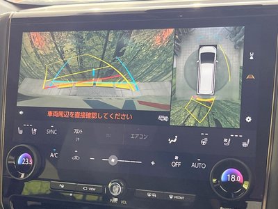 TOYOTA ALPHARD - 4