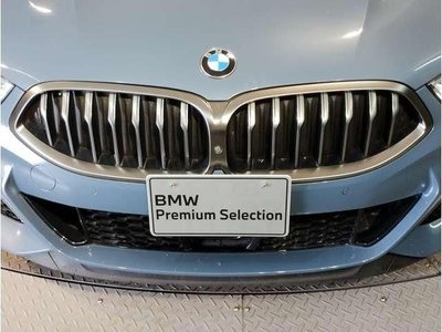 صورة 9 لـ 2019 BMW 8 SERIES