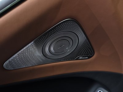 2021 Mercedes-BENZ S-CLASS — миниатюра 28