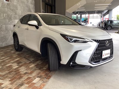 LEXUS NX - 6