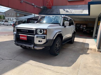 TOYOTA LAND CRUISER 250 - 2