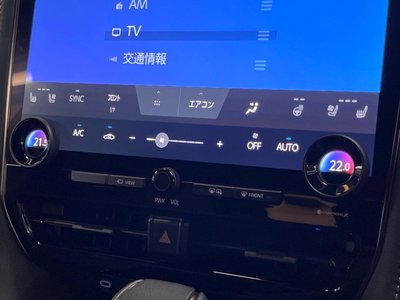 2025 Toyota ALPHARD thumbnail 48