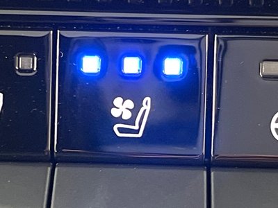 2024 Toyota LAND CRUISER 250 — миниатюра 29