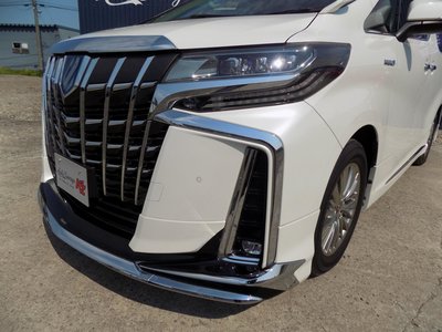 2020 Toyota ALPHARD 缩略图 14