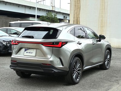 2023 Lexus NX 缩略图 34