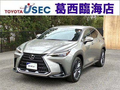 LEXUS NX - 1