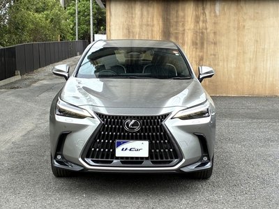 2023 Lexus NX 缩略图 32