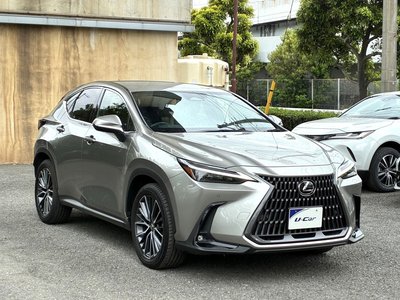 2023 Lexus NX 缩略图 33