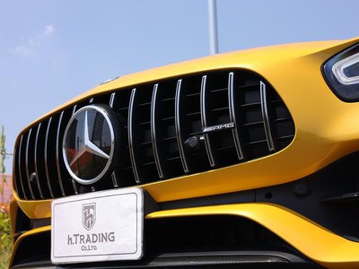 2019 Mercedes-BENZ GT AMG — миниатюра 31
