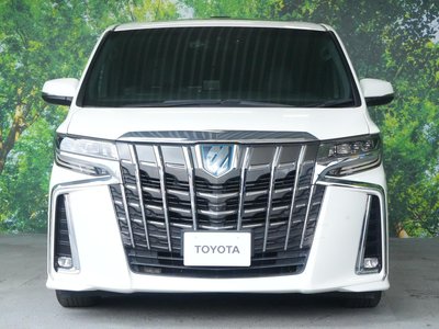 2020 TOYOTA ALPHARD 缩略图 38