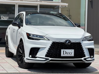 LEXUS RX - 6